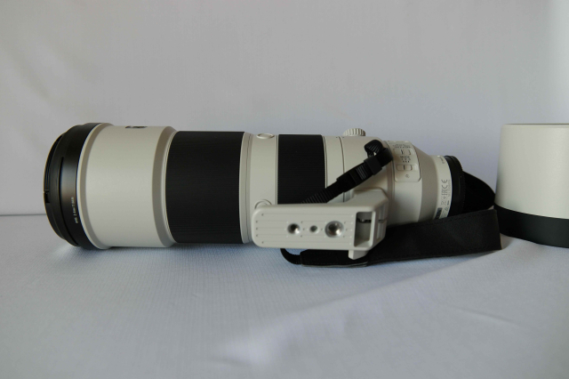 Sony Sony FE 200–600 MM F5.6–6.3 G OSS