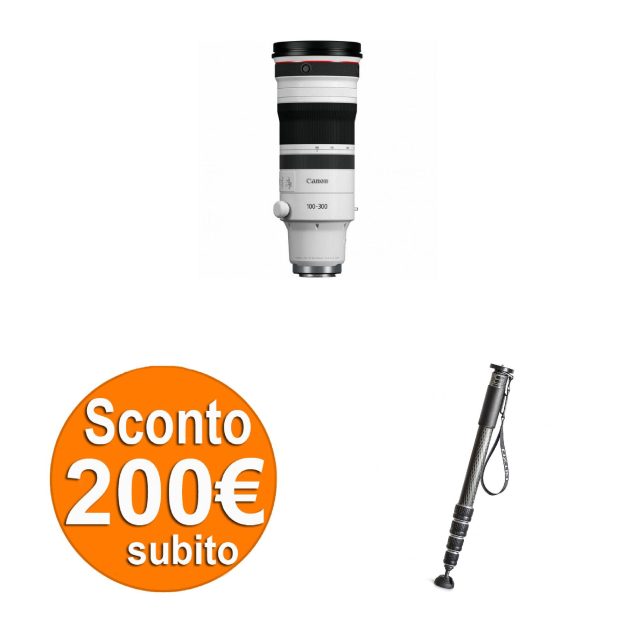 Canon Canon RF 100-300 2,8 L IS USM